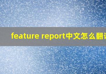 feature report中文怎么翻译